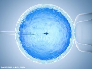 有偿孕妈借卵代怀咨询怎么选
